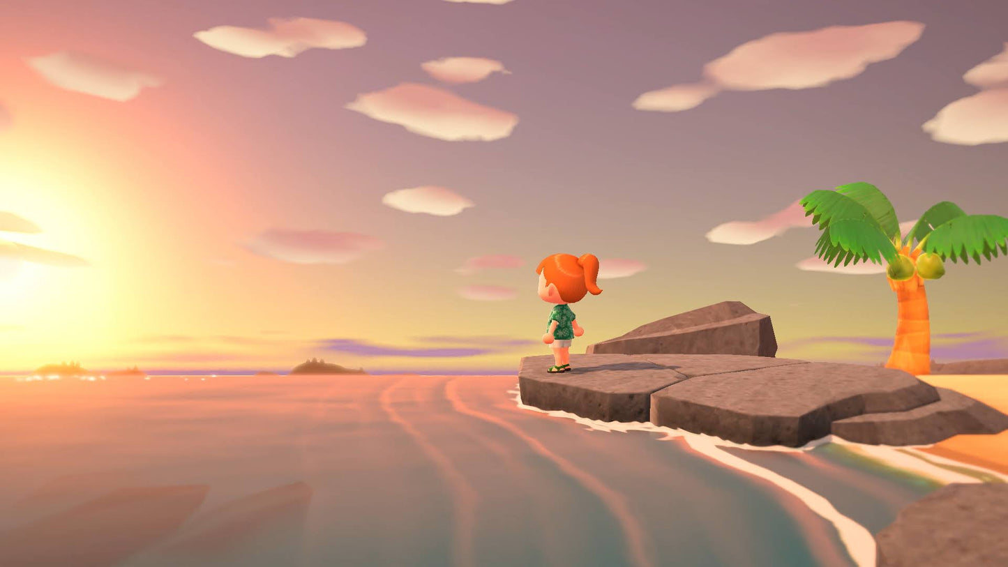 Animal Crossing: New Horizons para Nintendo Switch